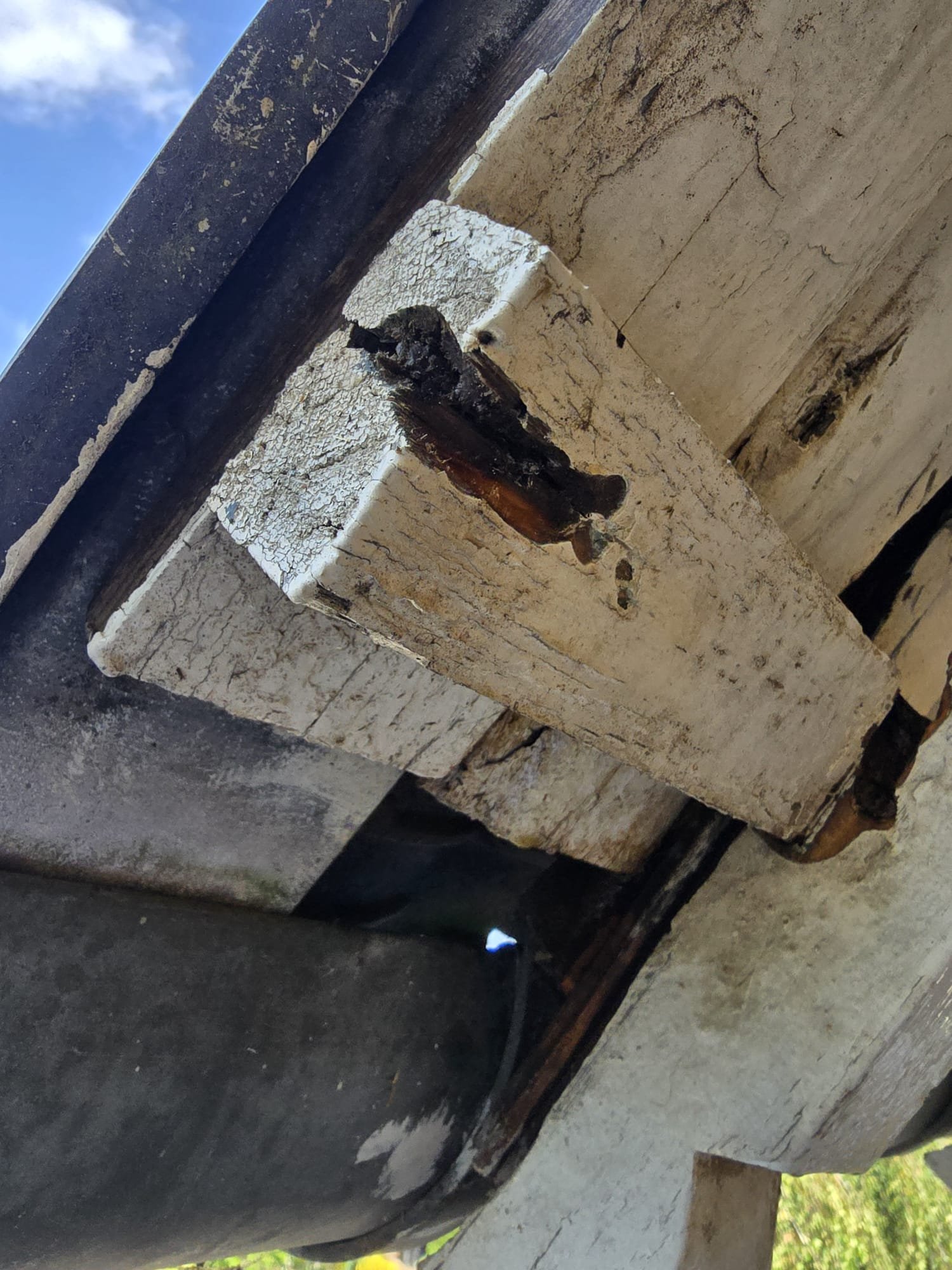 WhatsApp Image 2025-09-04 at 22.26.51 (2)