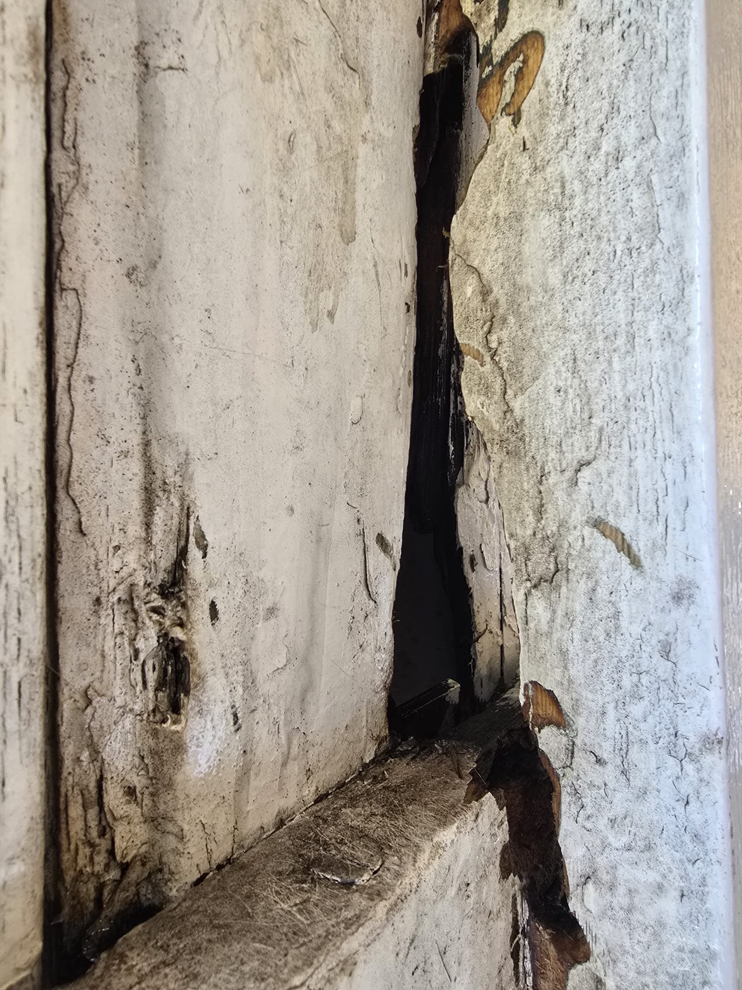 WhatsApp Image 2025-09-04 at 22.26.51 (3)