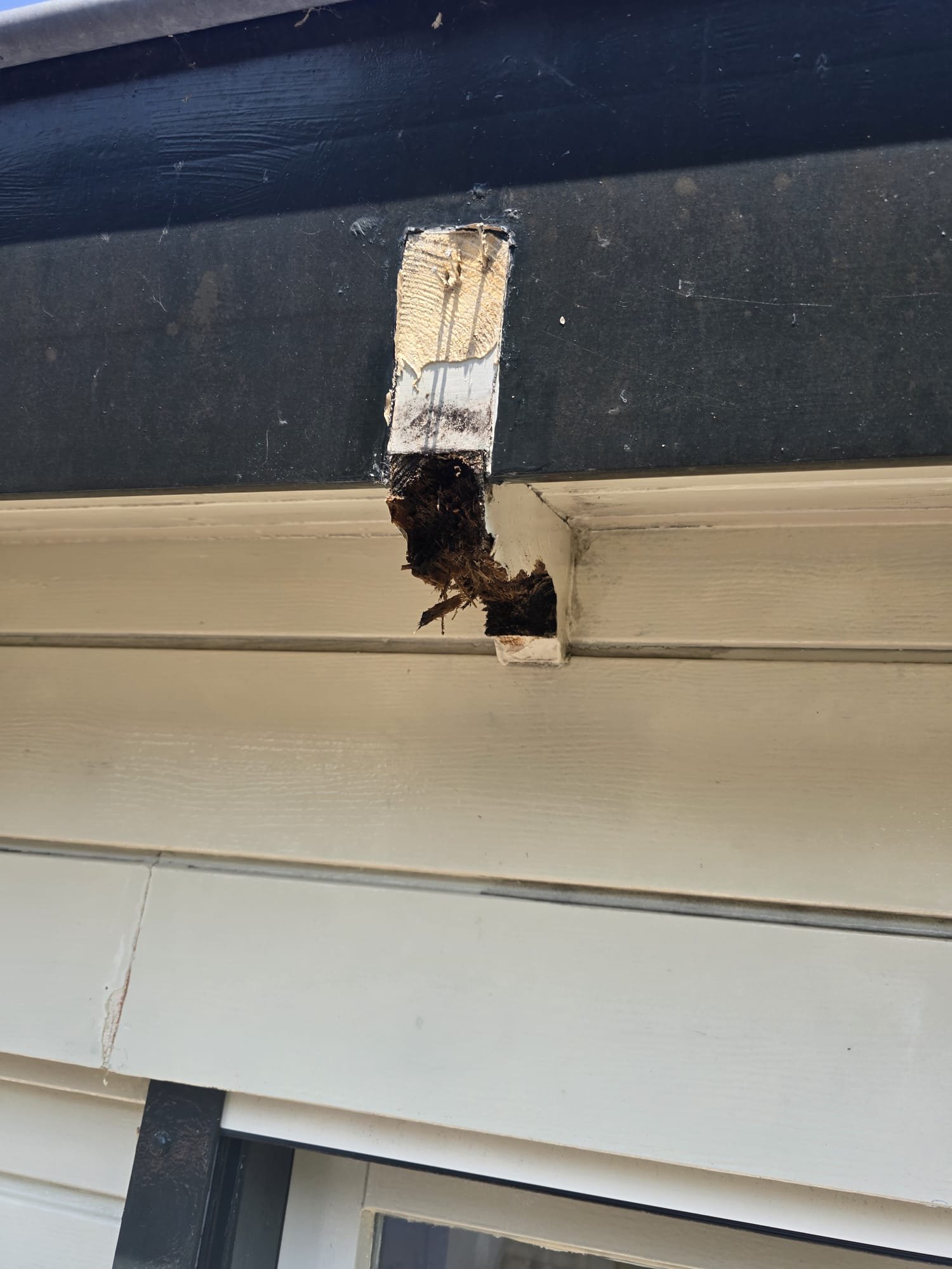 WhatsApp Image 2025-09-04 at 22.26.54 (10)