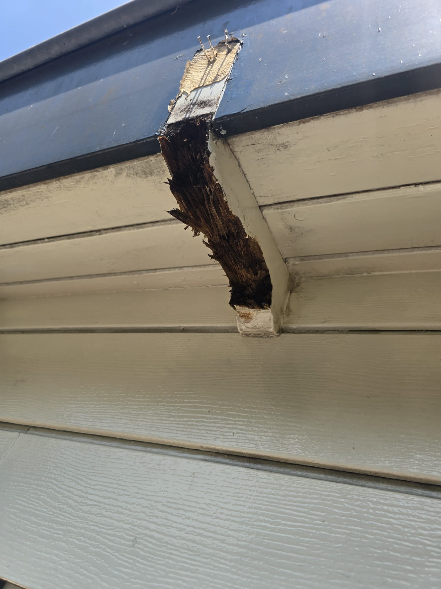 WhatsApp Image 2025-09-04 at 22.26.54 (9)