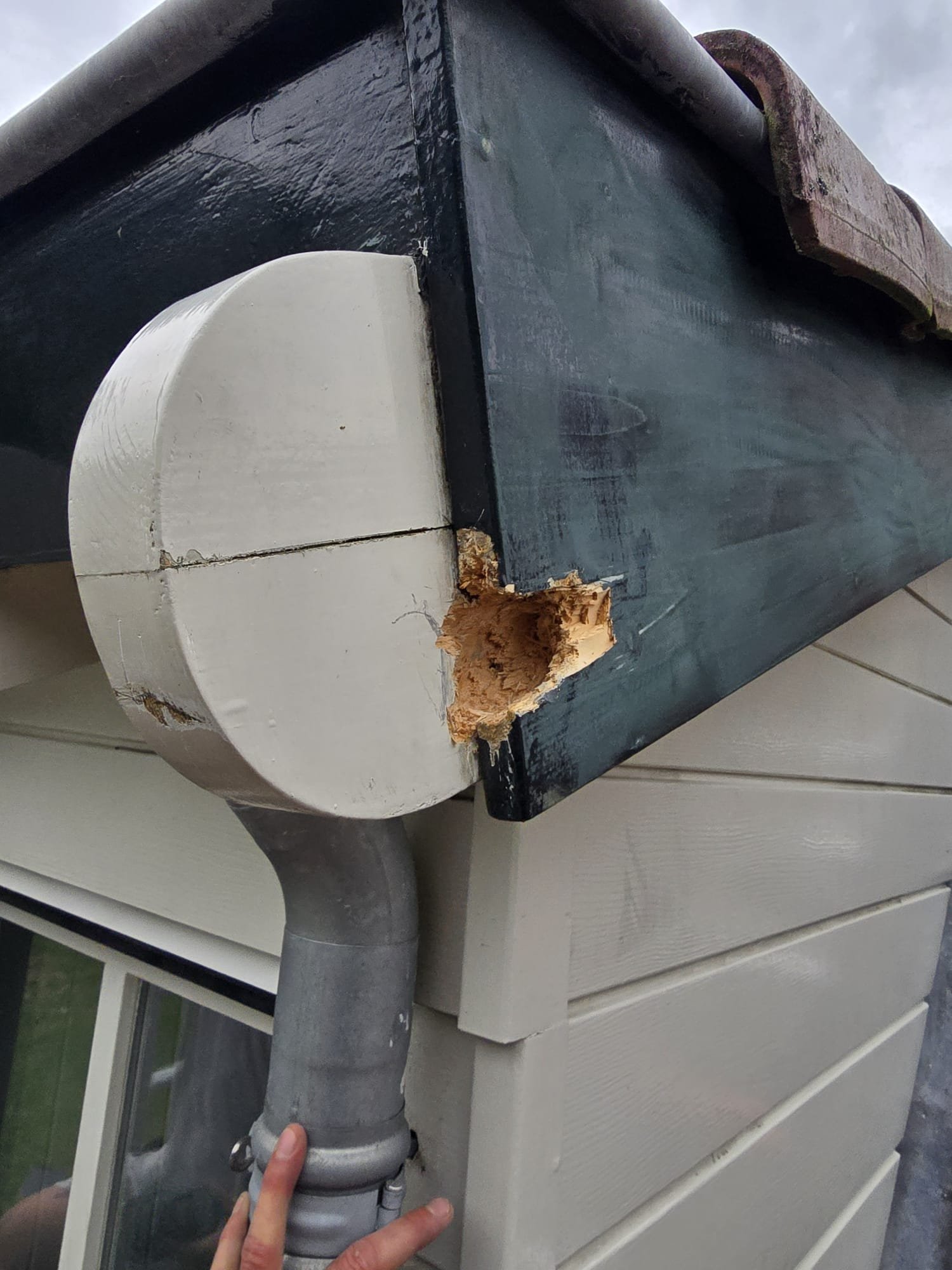 WhatsApp Image 2025-09-04 at 22.26.55 (2)