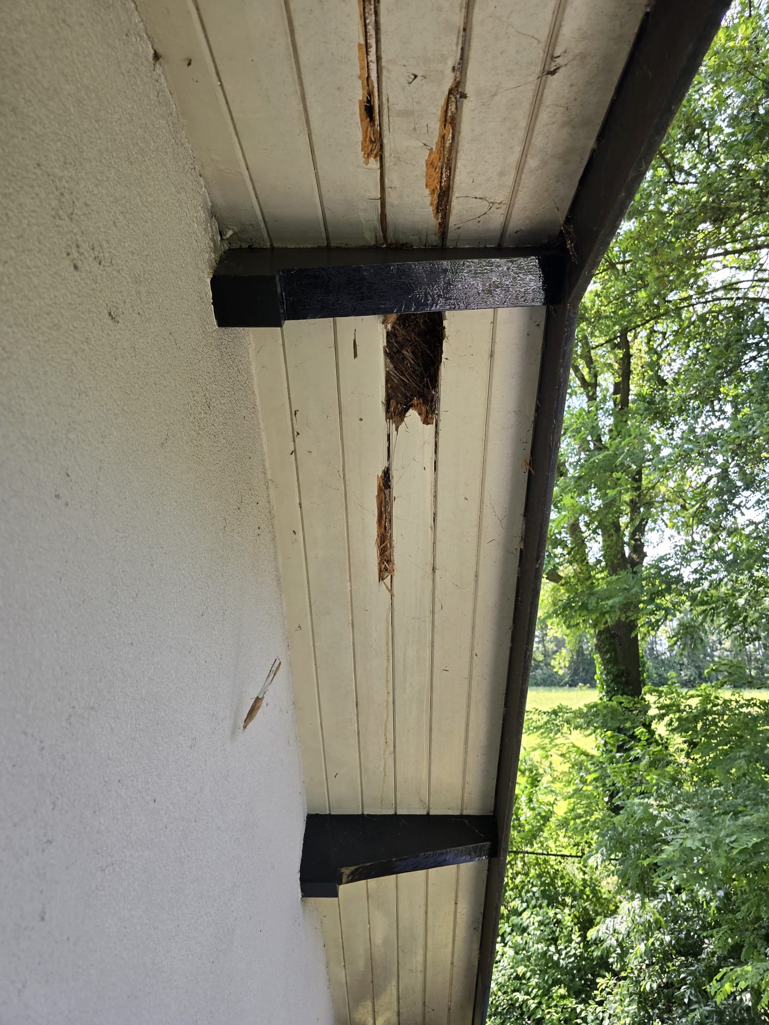 WhatsApp Image 2025-09-04 at 22.26.55 (3)