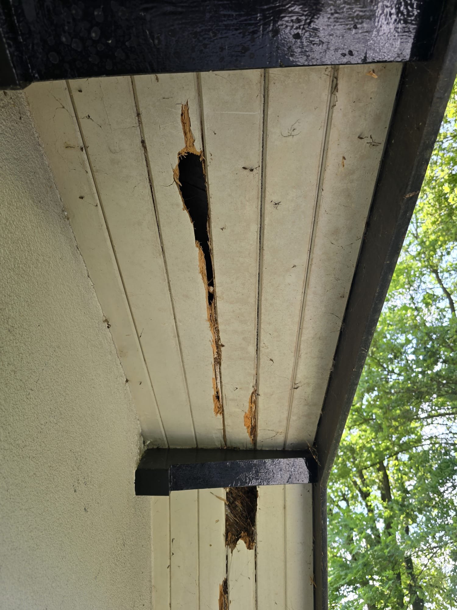 WhatsApp Image 2025-09-04 at 22.26.55 (4)