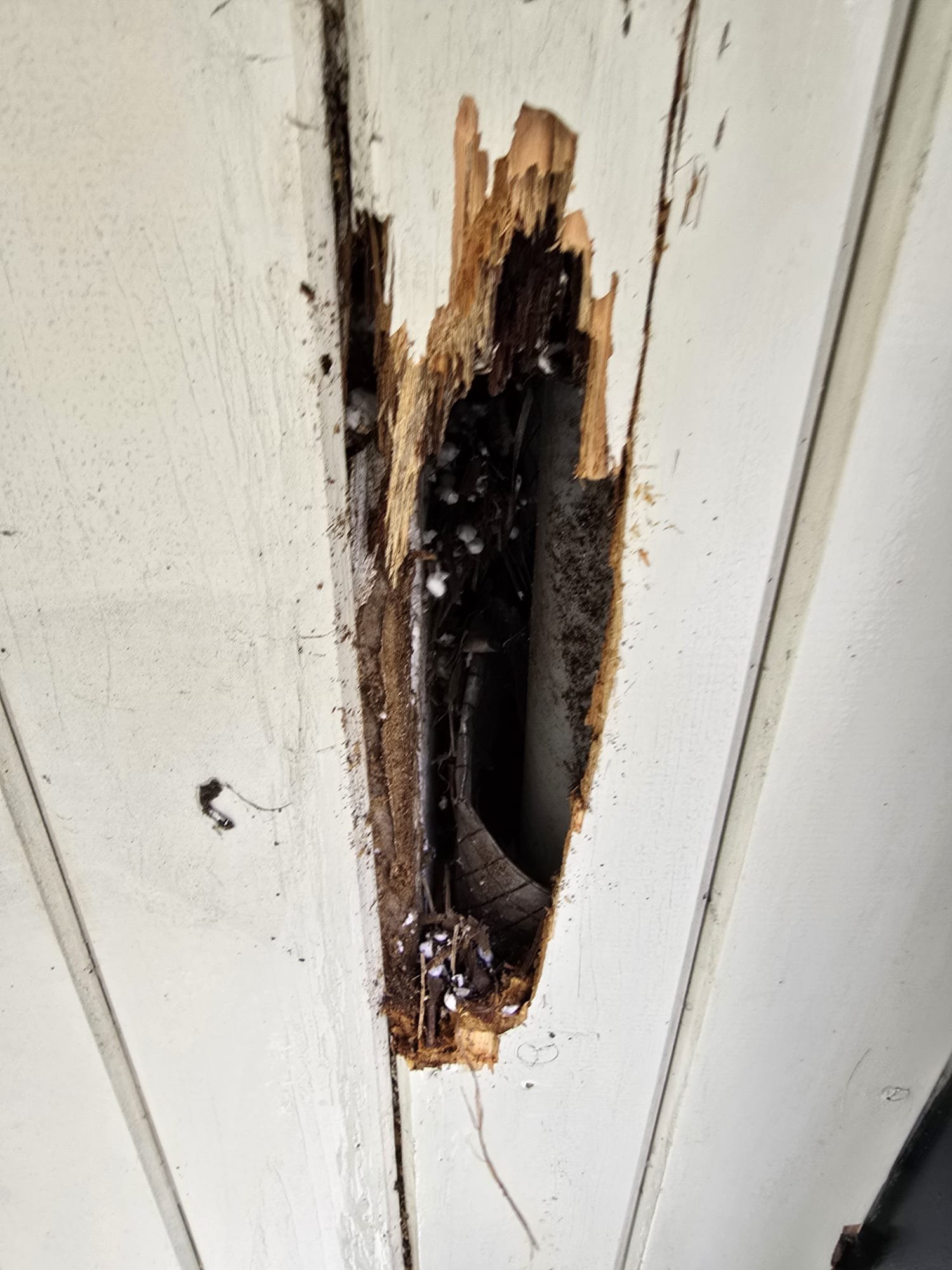 WhatsApp Image 2025-09-04 at 22.26.55 (6)